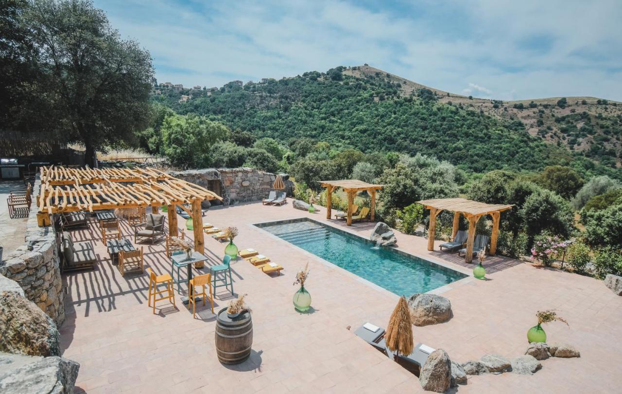 Residence De Luxe 4 Etoiles A Pietralba, 4 Logements Piscine Chauffee Balagne Buitenkant foto