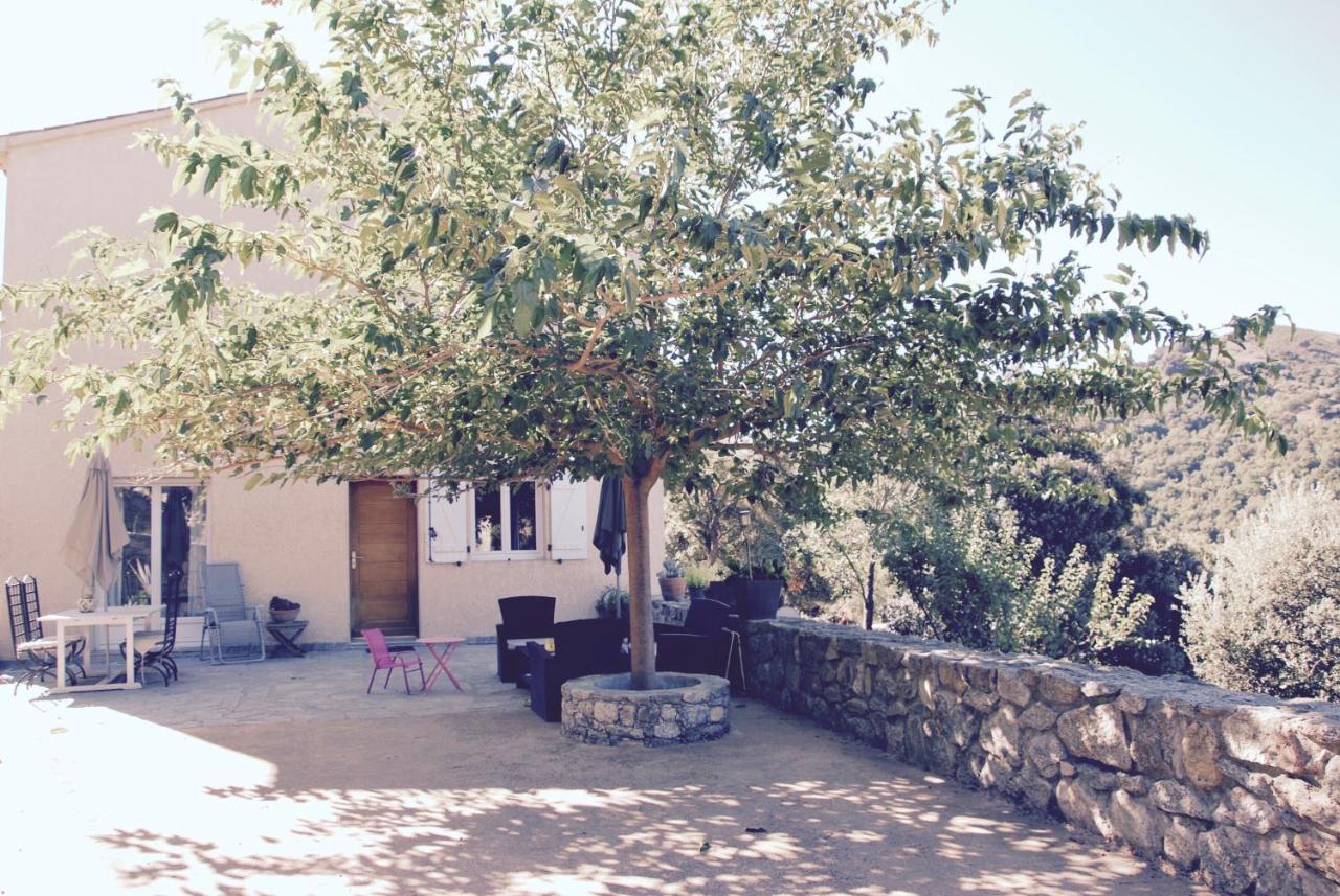 Residence De Luxe 4 Etoiles A Pietralba, 4 Logements Piscine Chauffee Balagne Buitenkant foto